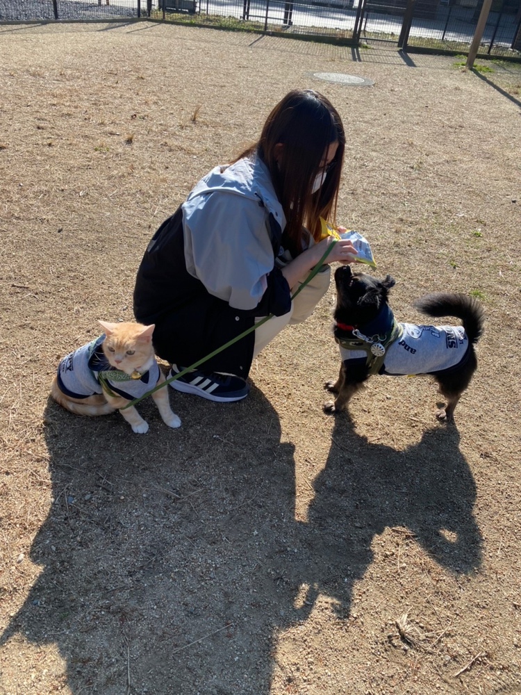 動物大好きで、家にも沢山可愛い子がいます！(^^)